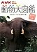 NHK�Ϥ���!���ˤޤ� ưʪ��޴ա������ॢ�եꥫ��