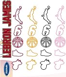 NBA Miami Heat Lebron James Player Logo Bandz Bracelets