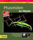 Phasmiden zu Hause