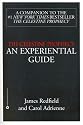 The Celestine Prophecy: An Experiential Guide