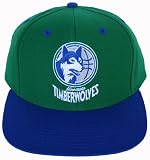 Minnesota Timberwolves Two Tone Green/Blue Basic Logo Plastic Snapback Flatbill Adjustable Hat
