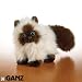 Webkinz Himalayan Cat