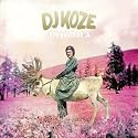 DJ Koze - Amygdala Vinyl 2-LP + 7