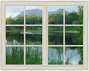 Amazon.com - Clear Lake and Green Trees Landscape Window View Mural 