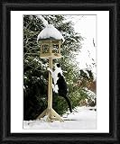 Framed Print of Cat - black a white cat climbing up a bird feeding table in snow from Ardea