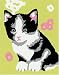 Ravensburger 29819 - Katze Kasimir - Malen nach Zahlen, 12x8,5 cm