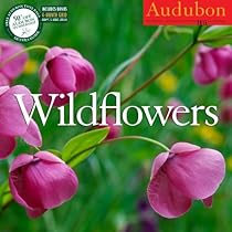 Audubon Wildflowers Calendar 2015 by National Audubon Society (2014-07-21)