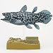 立体図鑑ミュージアムモデル　インドネシアシーラカンス フィギュア_s-3