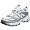 Silver/White