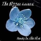 Honey in the Hive