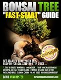 Bonsai Tree Fast-Start Guide - Learn the