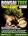 Bonsai Tree Fast-Start Guide - Learn the little-known tips and tricks from the bonzai tree masters. Grow Ficus Bonsai, Juniper Bonsai, Bonsai Plants, and Japanese Bonsai at Home...Starting Today