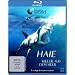 Haie - Killer aus dem Meer [Blu-ray]