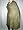 India Jamawar Antique Green Black Pashmina Shawl,wrap Throw Reversible 82x43 Image #2