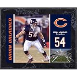 Mounted Memories Chicago Bears Brian Urlacher 8X10 Color Plaque Size: One Size