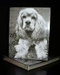 Talk to the Paw! Greeting Cards - Dogs make our life whole