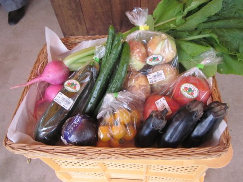 豪華　新鮮　産直　野菜セット