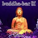 Buddha Bar Vol.9