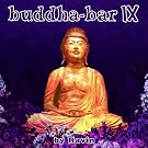 Buddha Bar Vol.9