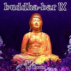 Buddha Bar Vol.9