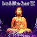 Buddha Bar Vol.9