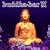 Buddha Bar Vol.9