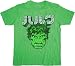 Search : Incredible Hulk Japanese Green T-shirt Tee