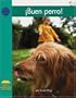 Buen perro! (Yellow Umbrella Books: Social Studies Spanish) (Spanish Edition)