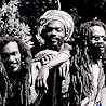 Image of Israel Vibration