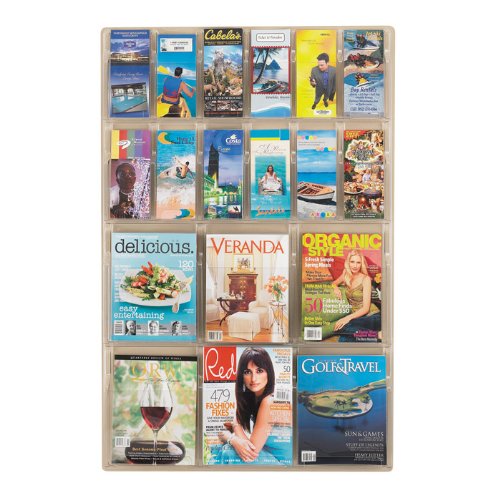 Safco Plastic Literature Display, 6 Magazines/12 Pamphlets, 30 Inches Width x 45 Inches Height, Clear 5600CL