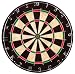 Dart Bristle Board - Steel Dartboard - Dartscheibe für Steeldarts