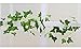 Leegoal(TM) Silk Artificial Ivy Garland Wedding Decoration (Green, 2 M)