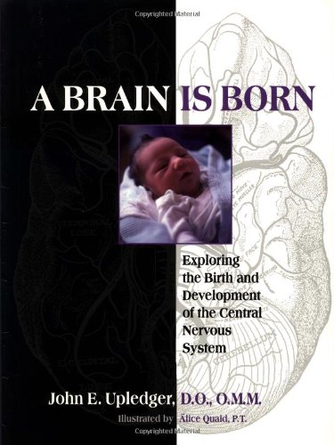 A Brain Is Born: Exploring the Birth and Development of the Central Nervous System