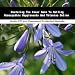 Book Mastering The Inner Game To Selling Homeopathic Supplements And Vitamins Online