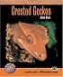Crested Geckos (Complete Herp Care)