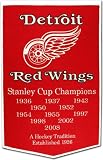 Detroit Red Wings 2008 Stanley Cup Champions Commemorative Dynasty Banner