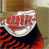 Minnesota Twins 50x60 Royal Plush Blanket Throw
