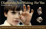 Diamonds Are Waiting For You: Crater of Diamonds, Where Dreams Can And Do Come True