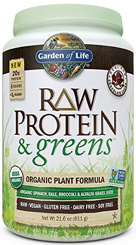 Garden of Life Raw Protein and Greens, Chocolate, 611 Gram