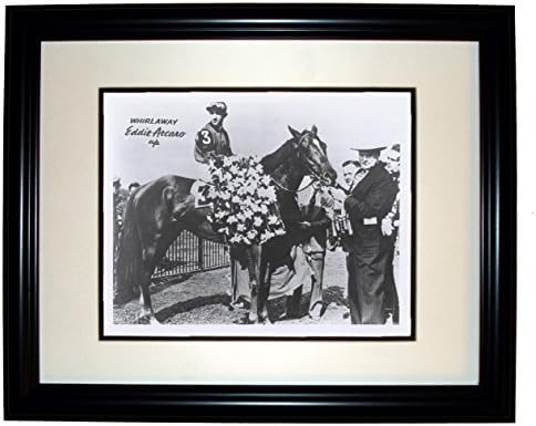 Whirlaway Thoroughbred Race Horse 8x10 Photo in an 11x14 Black Frame