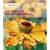 "Gardeners' World" 101 - Bold and Beautiful Flowers: For Year-round Colour (Gardeners' World Magazine 101)
