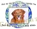 golden_retriever16golden retriever - Golden Retriever Mouse Pad Dog Mousepad Creation