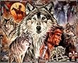 Indian & Wolf (Shadow Of The Wolves) Art Print Poster - 13x19