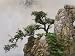 China, Yunnan Province, Bonsai, Potted Landscape Photographic Poster Print by Keren Su, 24x32