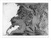 Historic Print (L): Maenads