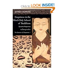Emptiness in the Mind-Only School of Buddhism: Dynamic Responses to Dzong-ka-ba's The Essence of Eloquence: Volume 1