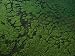 Aerial of Raised Terraces Once Used for Cultivating Sweet Potatoes Artists Photographic Poster Print, 18x24