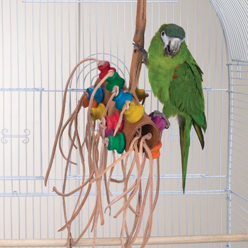 BONKERS – Brainy Bird Wild Series Toys