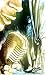 Books : American Vampire Vol. 4