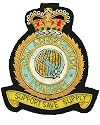 RAF Royal Air Force Lyneham Blazer Badge